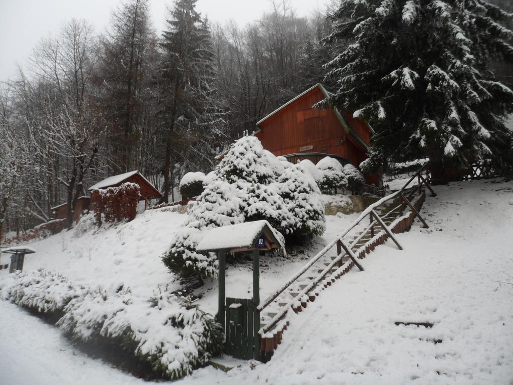 Pension Mikulka Mikulov v Krusnych Horach 外观 照片